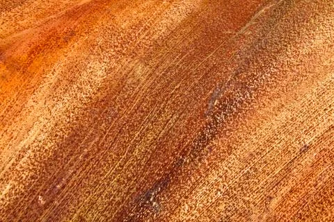 Linear patterns and textures on base of palm leaf Stock Photos