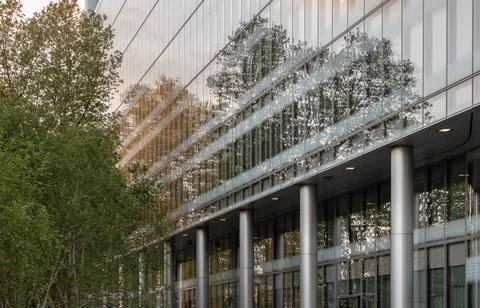 Linear precision meets the fluid textures of the forest, turning a modern r.. Stock Photos