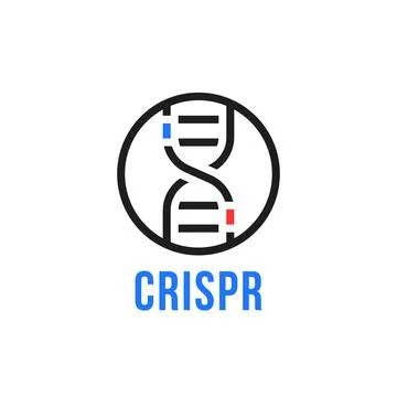 Linear round human genome editing logo Stock Illustration