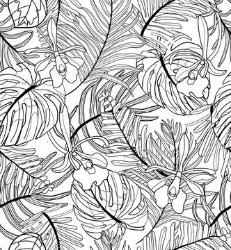 Linear seamless pattern, background with tropical plants and orchid flowers. イラスト素材