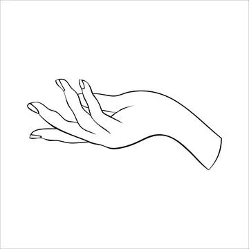 Linear silhouette of an elegant female or witch hand. 스톡 일러스트