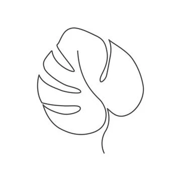 Linear tropical leaves Illustrazione stock