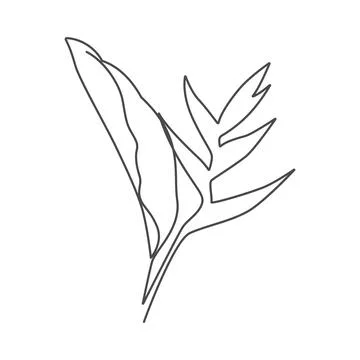 Linear tropical leaves Stock Illustration