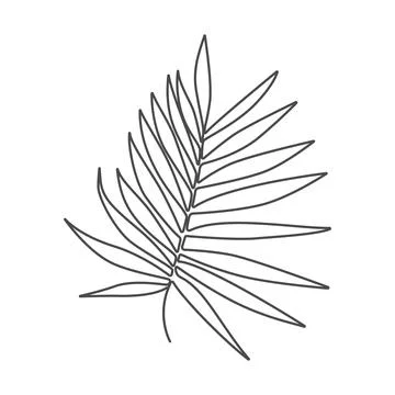 Linear tropical leaves Stock Illustration