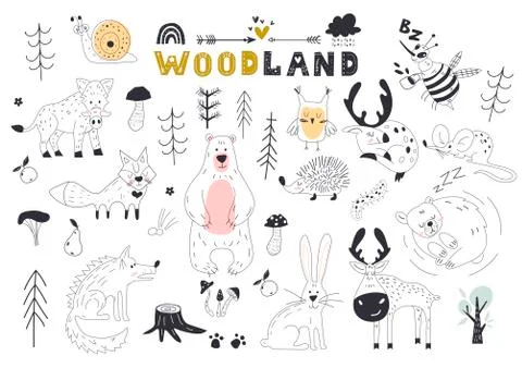 The linear vector children illustration set of cute forest animals. Stock-Illustration