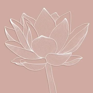 Linear vector decorative pattern of lotus flower. Graphics Stock Illustration