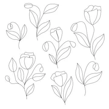 Linear vector drawing of simple flowers on a white background. For the design of Stock Illustration