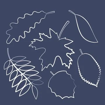 Linear vector image on a black background, the contours of the leaves of a .. 스톡 일러스트