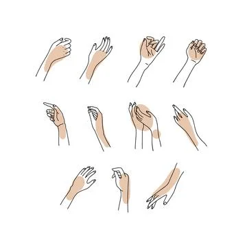 Linear Woman's hand collection. Vector sketch Illustration of female hands of Stock Illustration