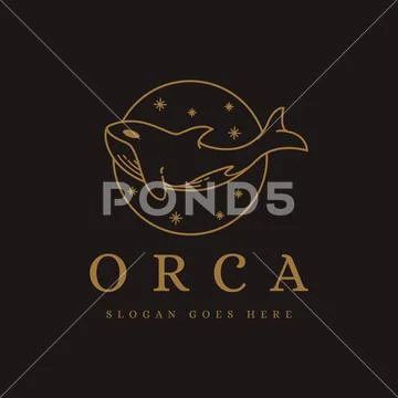 Lineart jumping orca killer whale logo icon vector on dark background ...