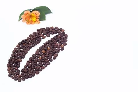 Lined coffee beans from small coffee beans and an orange hibiscus flower on a Fotos Stock