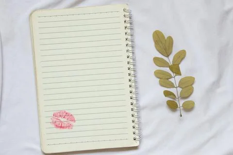A lined notebook with a lipstick imprint at the bottom and a dry acacia branc Stock Photos