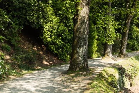 Lined path Foto stock