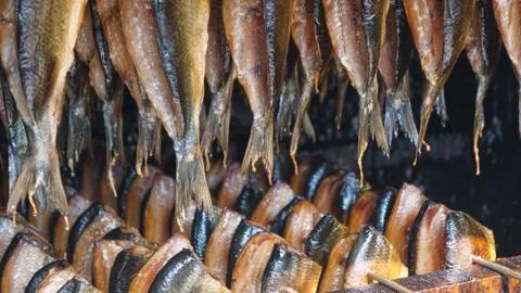 Lined up in the Smokehouse 스톡 사진