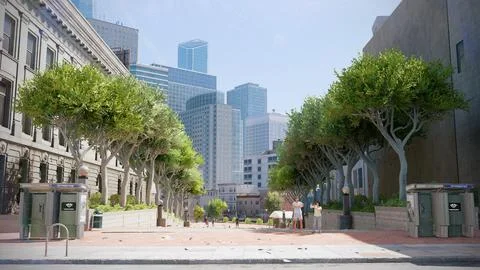 Lined Trees in San Francisco Foto stock