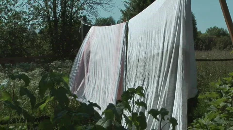 Linen. Stock Footage 770373