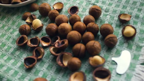 On a linen napkin, a shell and a kernel of macadamia nut. A plate of nuts in the Stock Footage 104934989