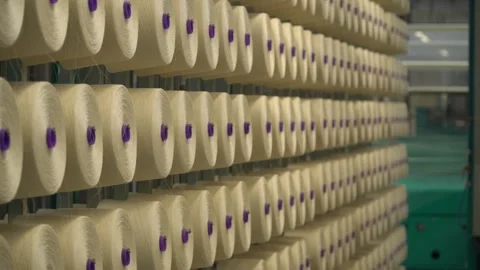 Linen yarn manufacturing process on textile factory machinery Stock Footage 247190556