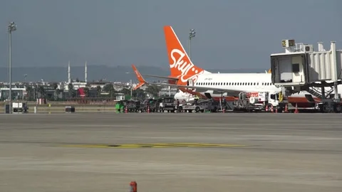 Liner with logo on vertical stabilizer stands on apron Stock Footage 146577296