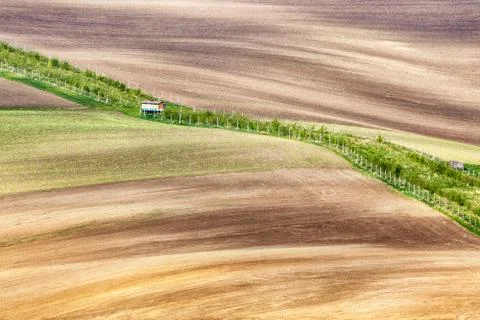 Lines and waves with grass border Stock Photos