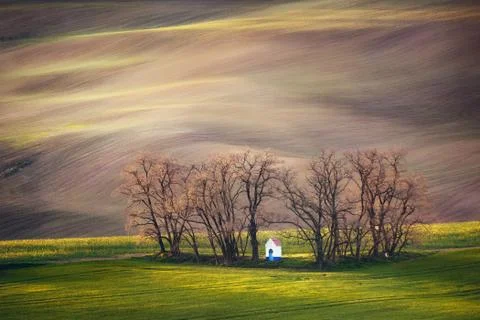 Lines and waves with trees and chapel in the spring, South Moravia, Czech Stock Photos