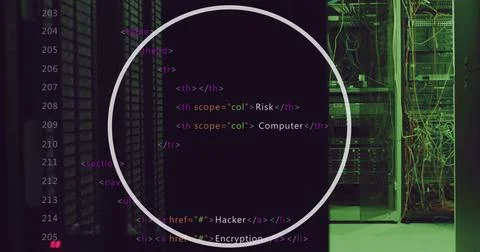 Lines of code are displayed on screen, highlighting terms like Risk and Computer Stock Photos