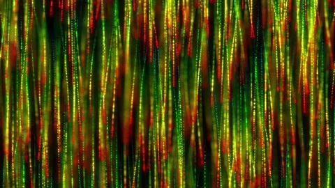 Lines of colorful particles flow down, bright light stripes Stock Footage 276552187