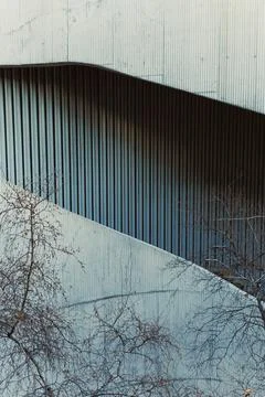 Lines of corrugated metal create a pattern on a building's wall while bare br Foto stock