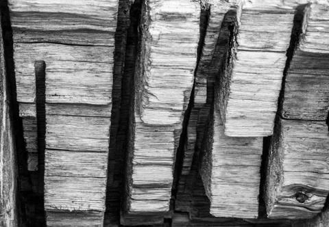 Lines cut into an old log by a chainsaw Foto stock