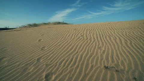 Lines in the dune 動画素材 116182223
