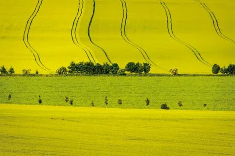 Lines in fields Stock Photos