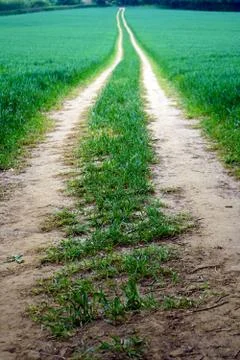 Lines in green farm fields 库存照片