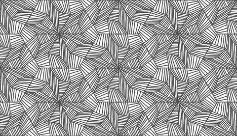 Lines hexagonal pattern in abstract style on white background. Monochrome print Stock Illustration