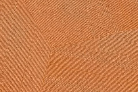 Lines Rust, trendy minimalist composition Stock Illustration