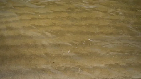 Lines in the sand from waves 4k, real-time Stock Footage 243840201