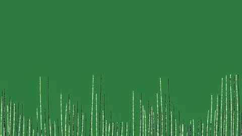 Lines stripes 動画素材 336970026