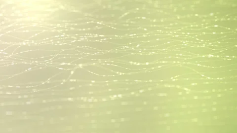 Lines threads particles yellow background Stock Footage 155191055