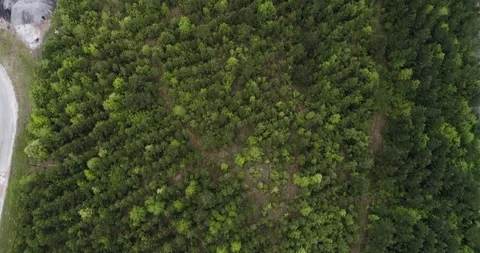Lines of trees between train line and road Big Thicket National drone aerial 4K Stock-Footage 111362550