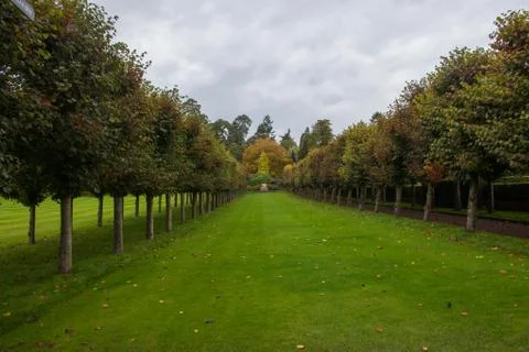 Lines of trees Stock Photos