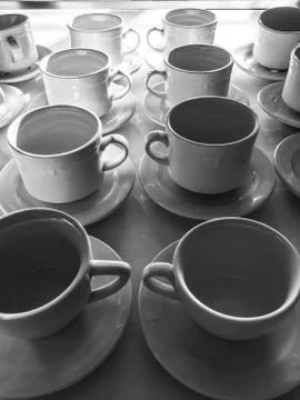 Lines of white cups on a white table in daylight, black and white 스톡 사진
