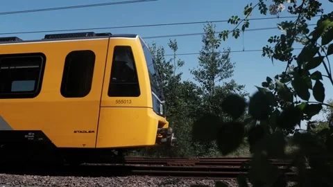 Lineside Vegetation Blowing in the Wind Rush of a Metro Train Stock Footage 343886301