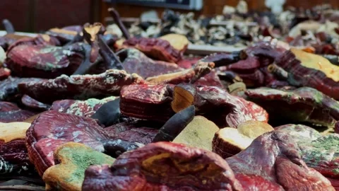Ling zhi mushroom drying process. Mushrooms are dried in the sun on a flat Stock Footage 275913508