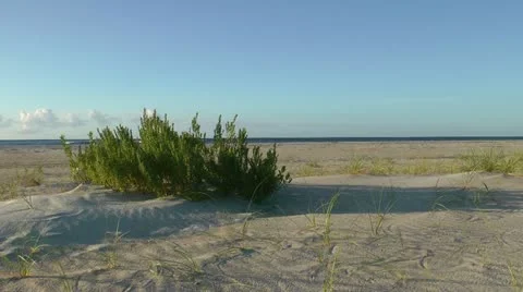 Linger by the sea Stock Footage 12169662