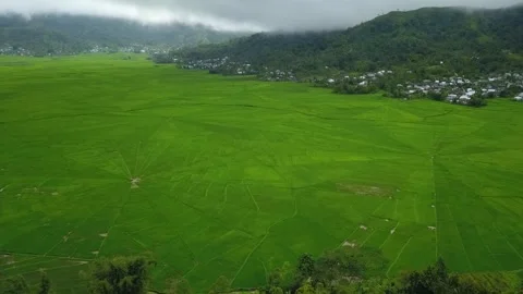Lingko Spider Web Rice Fields While Sunlight Piercing . Flores Island, East Stock Footage 346457057