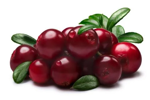 Lingonberries with leaves, paths Foto stock
