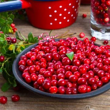 Lingonberries Foto stock