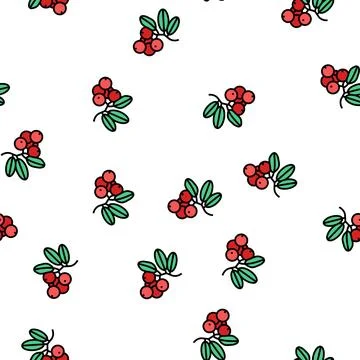 Lingonberry berry vector seamless pattern 스톡 일러스트
