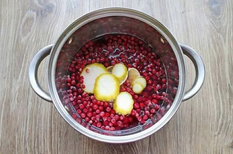 Lingonberry Mulled Wine 2 Stock Photos