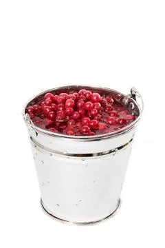 Lingonberry Stock Photos