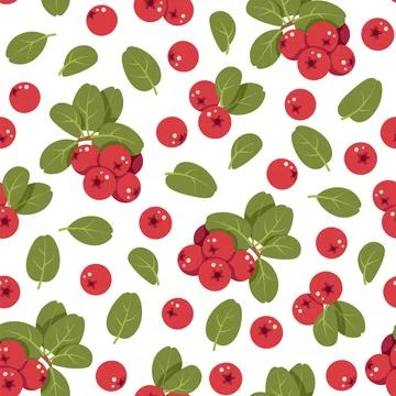 Lingonberry Seamless Pattern Flat Vector. Autumn, Harvest Festival. Repeat 스톡 일러스트
